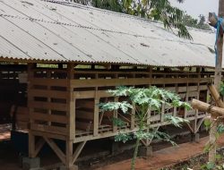 Wartawan Diintimidasi Oknum Aparat Desa Citalang 