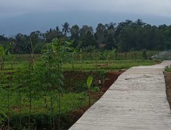 Jalan Usaha Tani dan Upaya Peningkatan Ketahanan Pangan