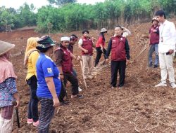 Kolaborasi PRK-I dan Pendamping PKH Kembangkan Pertanian Berkelanjutan di Kawasan Hutan Cilingga
