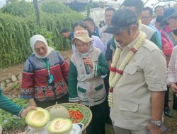 Ewindo: 35 Tahun Inovasi Berkelanjutan di Sektor Pertanian Indonesia