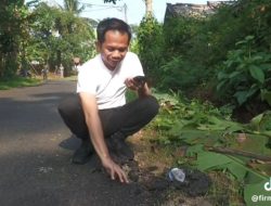 Bupati Purwakarta vs Kontraktor Nakal: Perang Demi Infrastruktur Berkualitas!